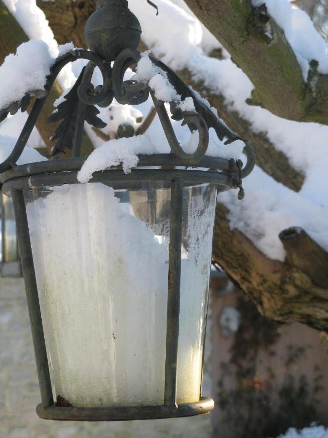 De Epicurist Bed & Breakfast Hasselt Bagian luar foto