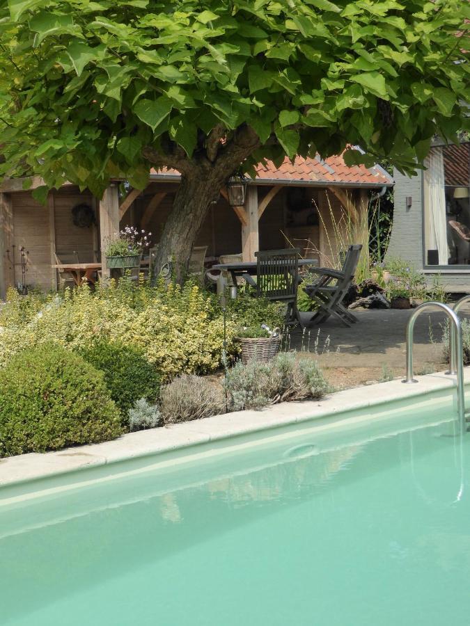 De Epicurist Bed & Breakfast Hasselt Bagian luar foto